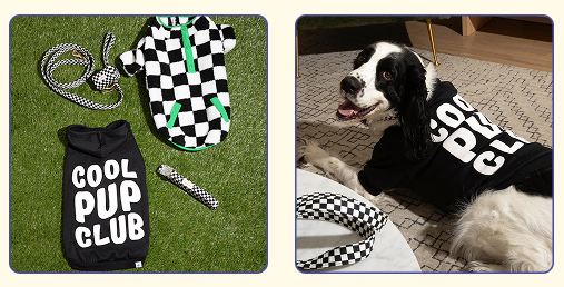 10 best gifts for dogs and dog lovers this holiday season. Oodles Pet hoodie