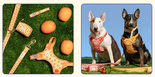 10 best gifts for dogs and dog lovers this holiday season. Dogs in Oodles Pet walking sets