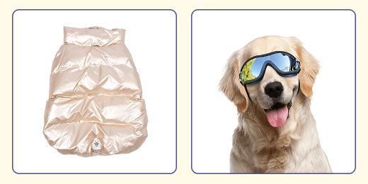 7 fun dog halloween costume ideas for 2025. Astronaut dog