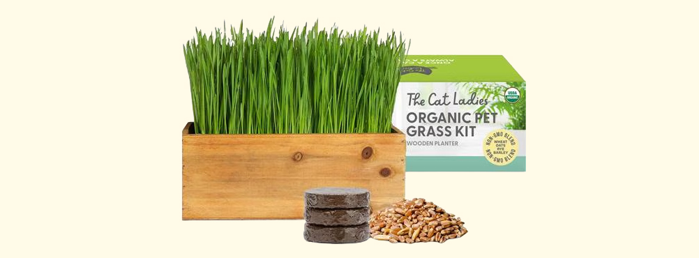 Best gifts for cats. Grow kit