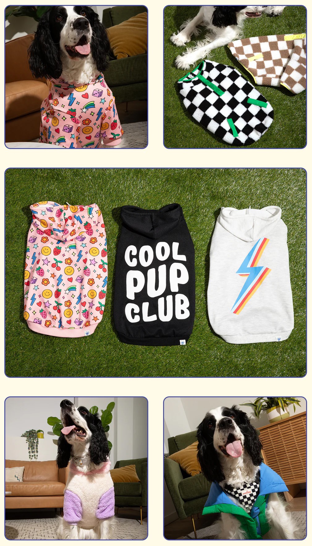 The ultimate dog jacket sizing guide, find the perfect fit. Dogs in Oodles Pet hoodies