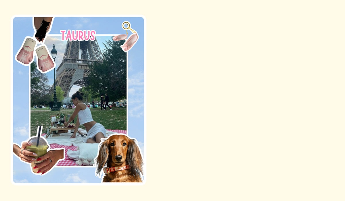 Oodles Pet dog astrology blog. Taurus.