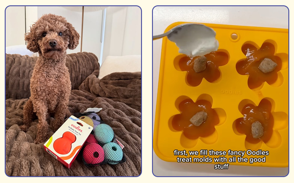 Holiday travel tips for pets and their humans. Dog with Oodles Pet treater toys
