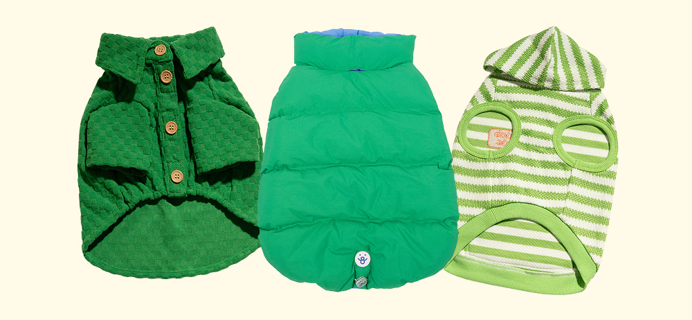 Oodles Pet matcha and green dog jackets, dog shirt, and dog hoodie