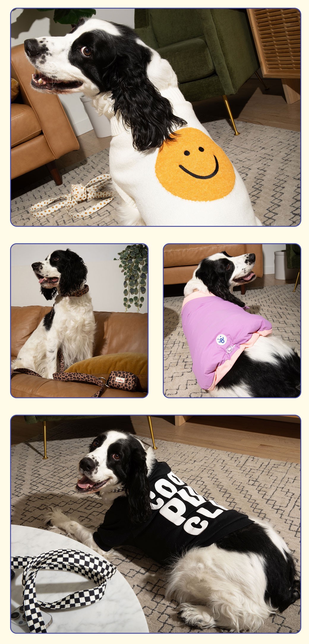 Fun fall activities to do with your dog. Dogs in Oodles Pet sweaters and jackets