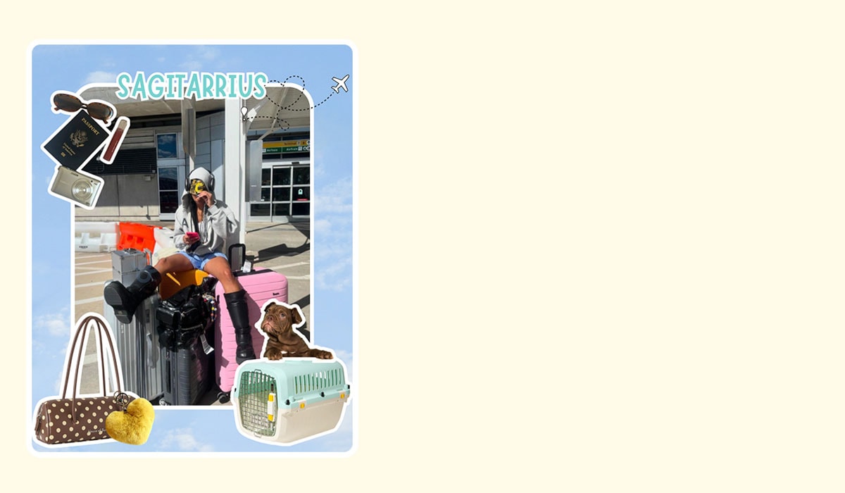 Oodles Pet dog astrology blog. Saggitarius.