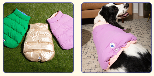 10 best gifts for dogs and dog lovers this holiday season. Oodles Pet jackets