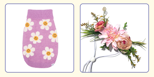 7 fun dog halloween costume ideas for 2025. Flowery dog sweater and floral headband