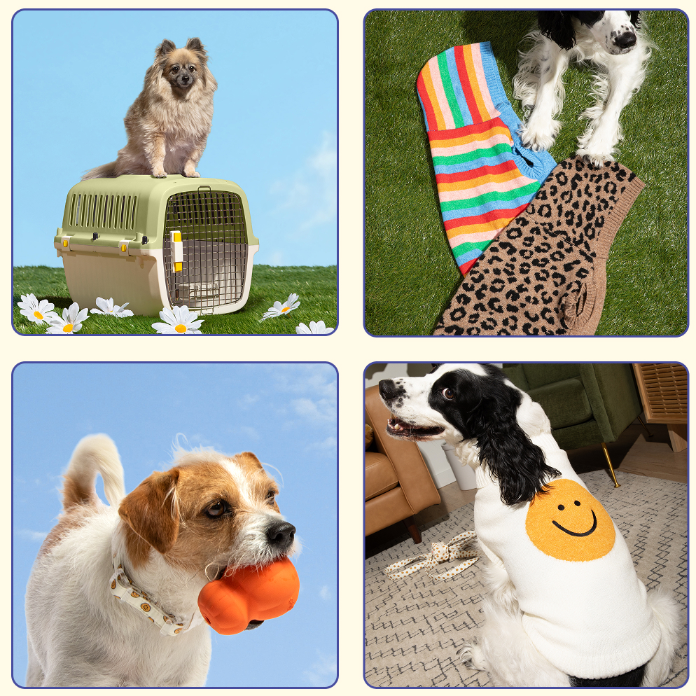 Holiday travel tips for pets and their humans. Dogs with Oodles Pet kennel, Oodles Pet hoodies, and Oodles Pet dog toys