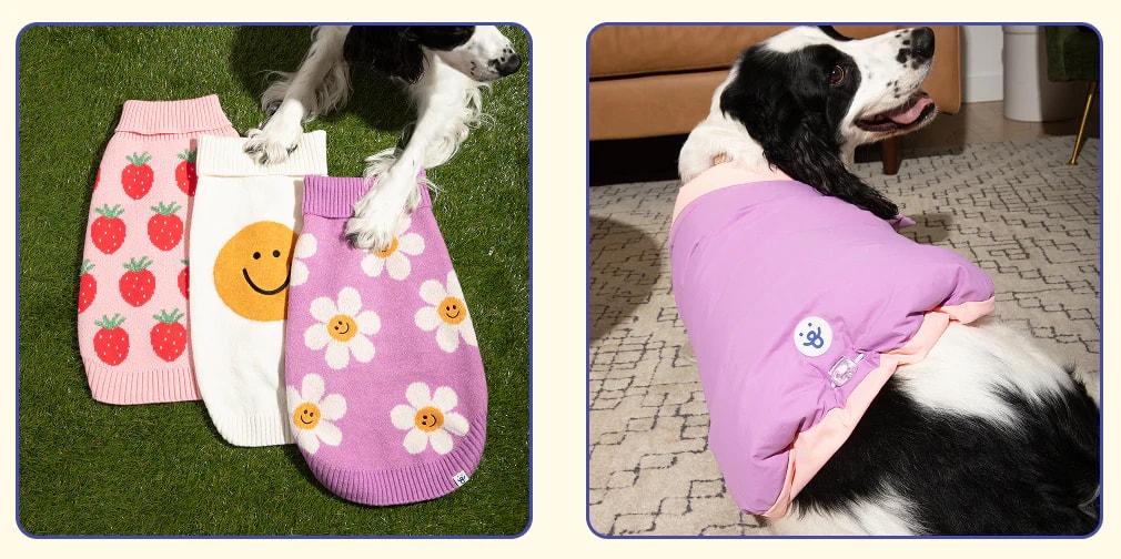 The ultimate dog jacket sizing guide, find the perfect fit. Dog in Oodles Pet jackets