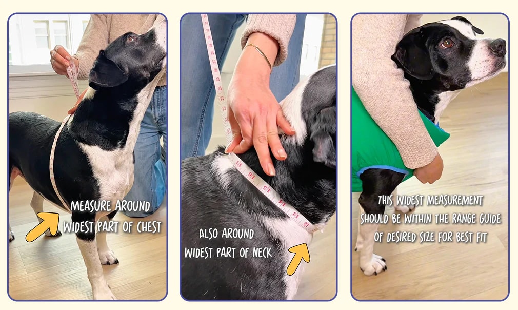 The ultimate dog jacket sizing guide, find the perfect fit. Measuring a dog for a jacket