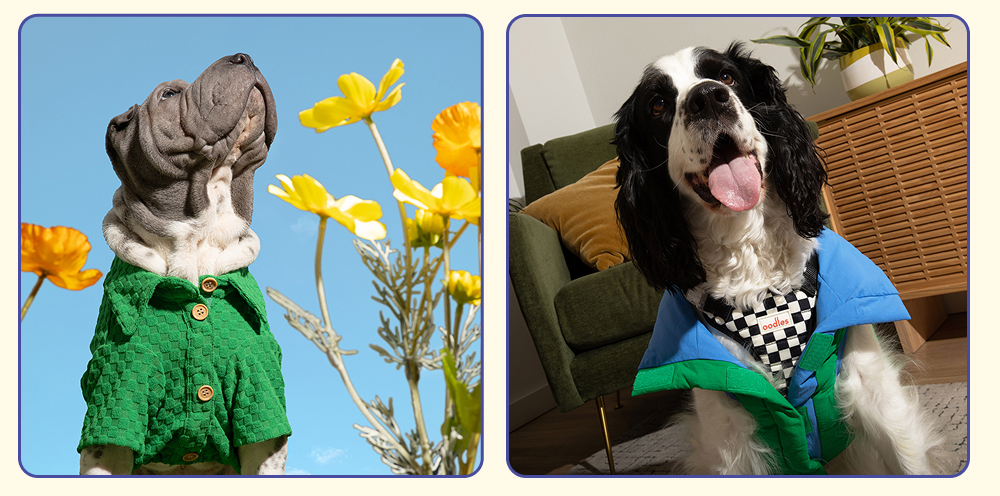 Oodles Pet green dog shirts and jackets