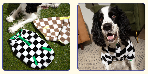 10 best gifts for dogs and dog lovers this holiday season. Oodles Pet jacket