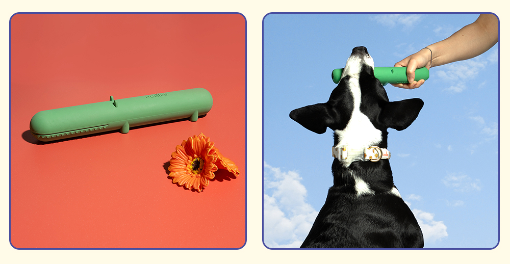 Oodles Pet matcha dog chew toy