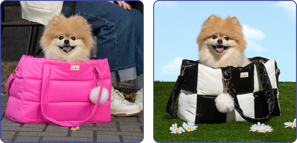 oodles pet cloud puff dog carrier for dogs and cats and kittens