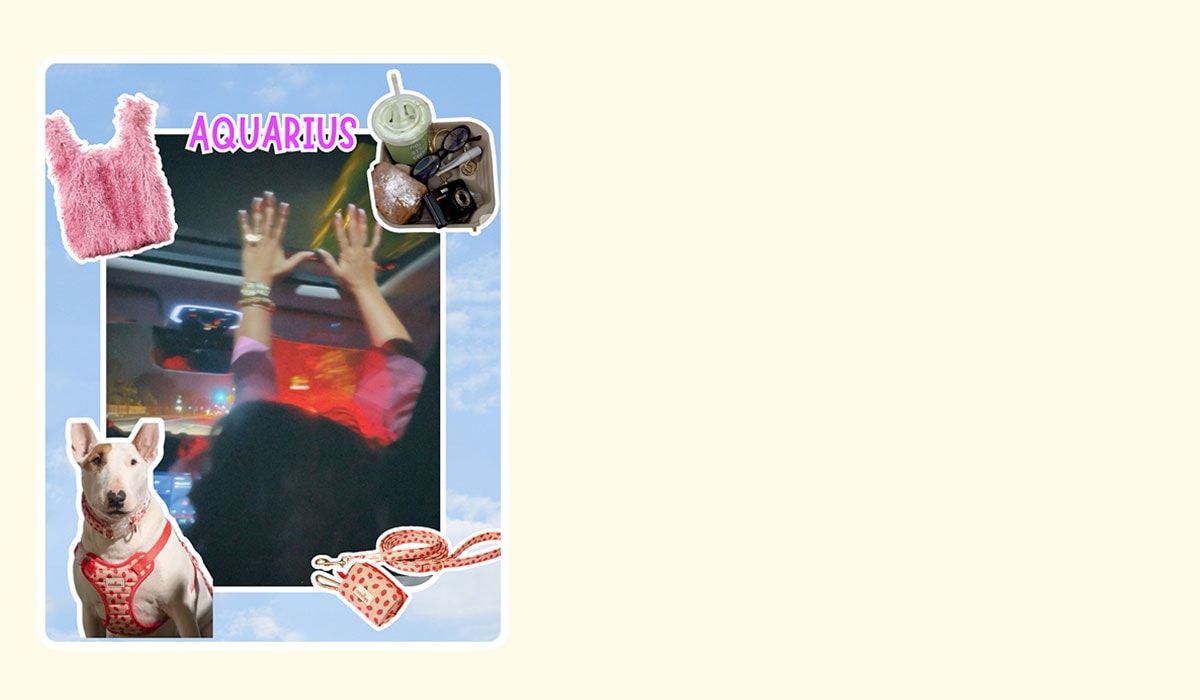 Oodles Pet dog astrology blog. Aquarius.