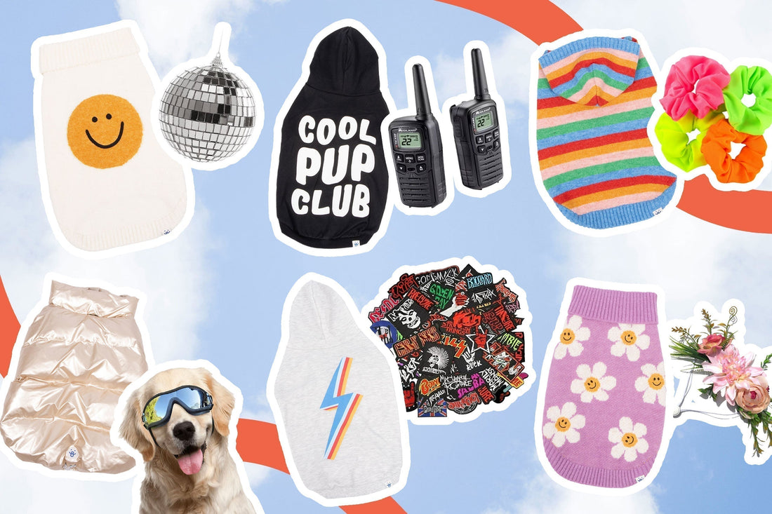 7 Fun Dog Halloween Costume Ideas for 2025 🎃🐾