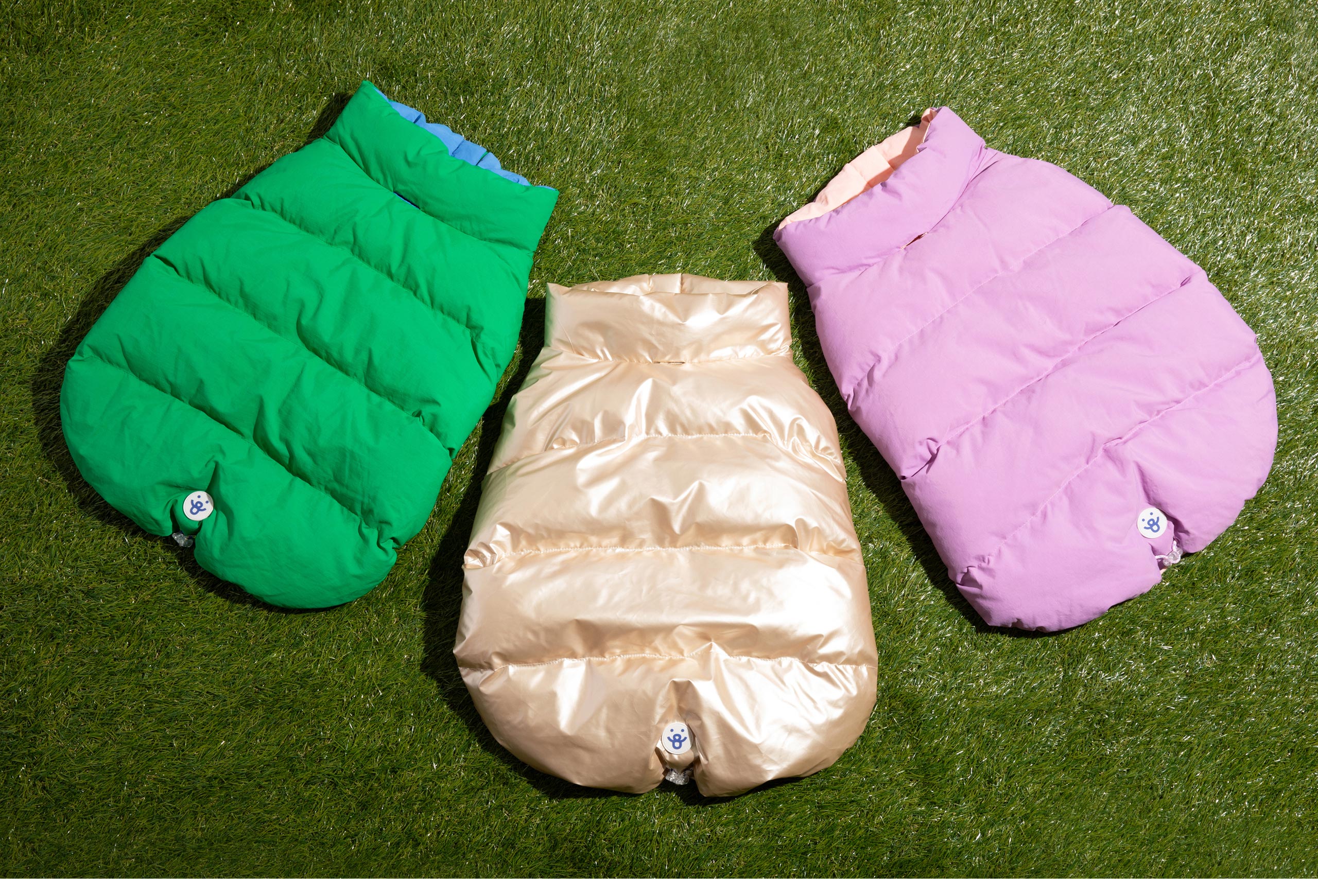 The Ultimate Dog Jacket Sizing Guide: Find the Perfect Fit