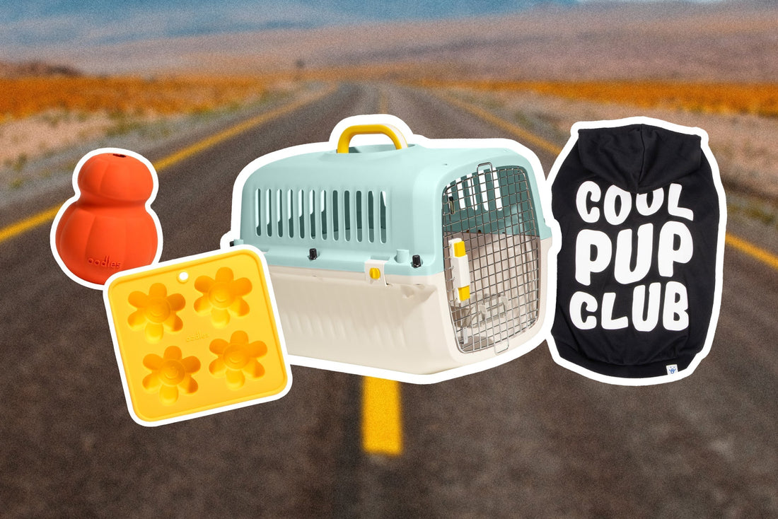 Holiday Travel Tips for Pets and Their Humans