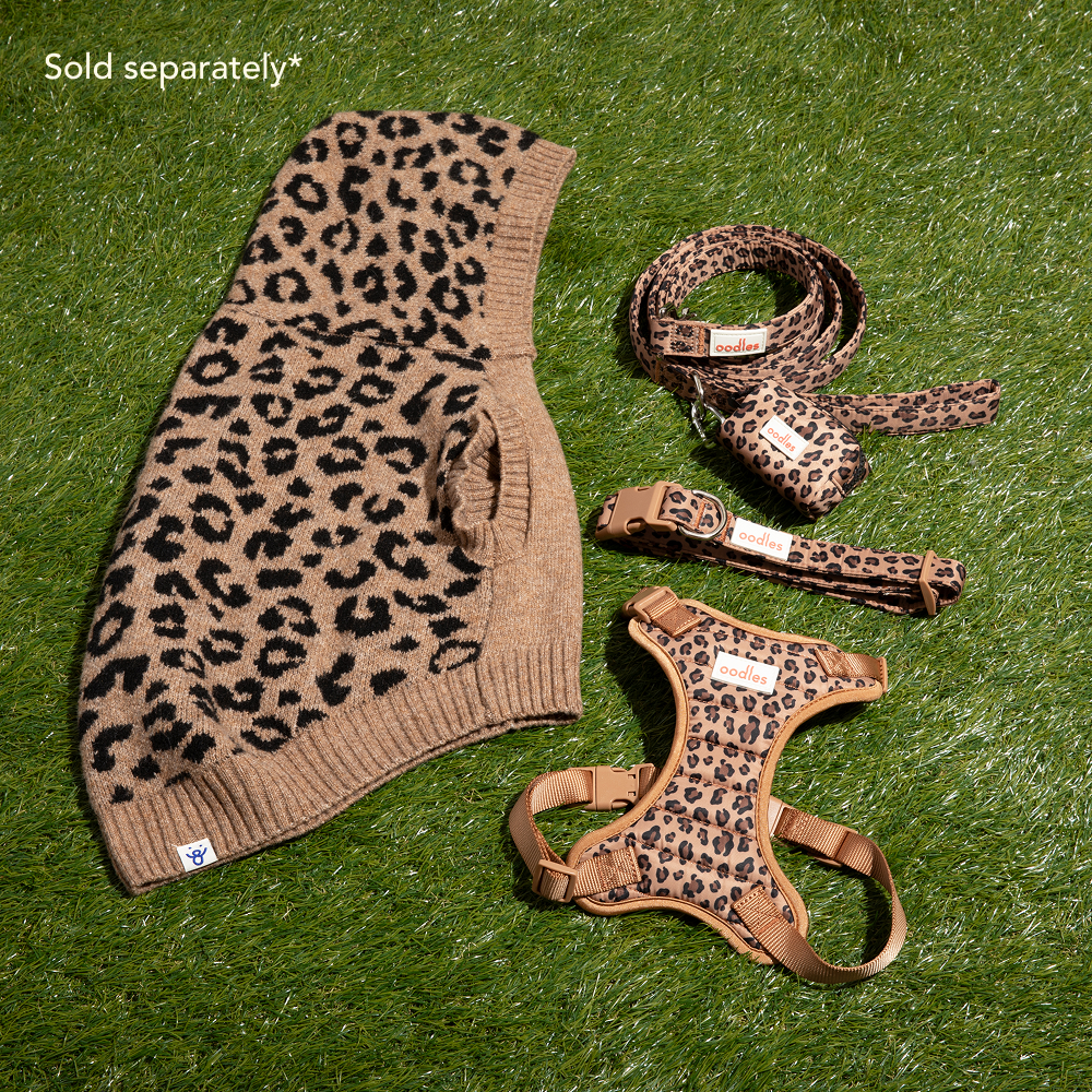 Quilted Dog Walking Harness