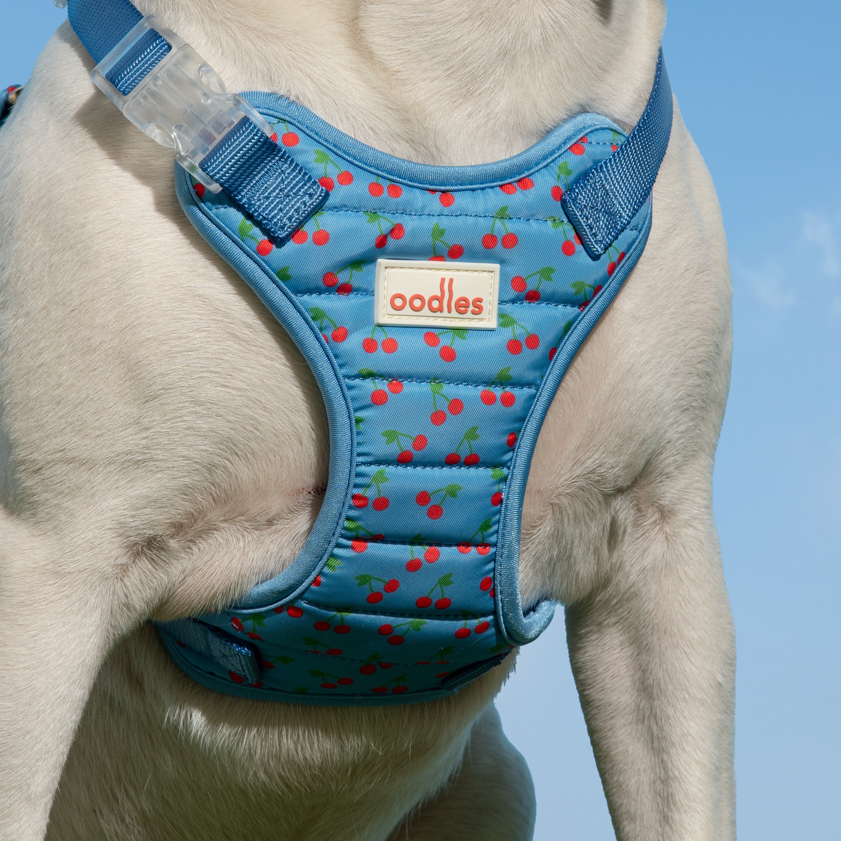 Quilted Dog Walking Harness