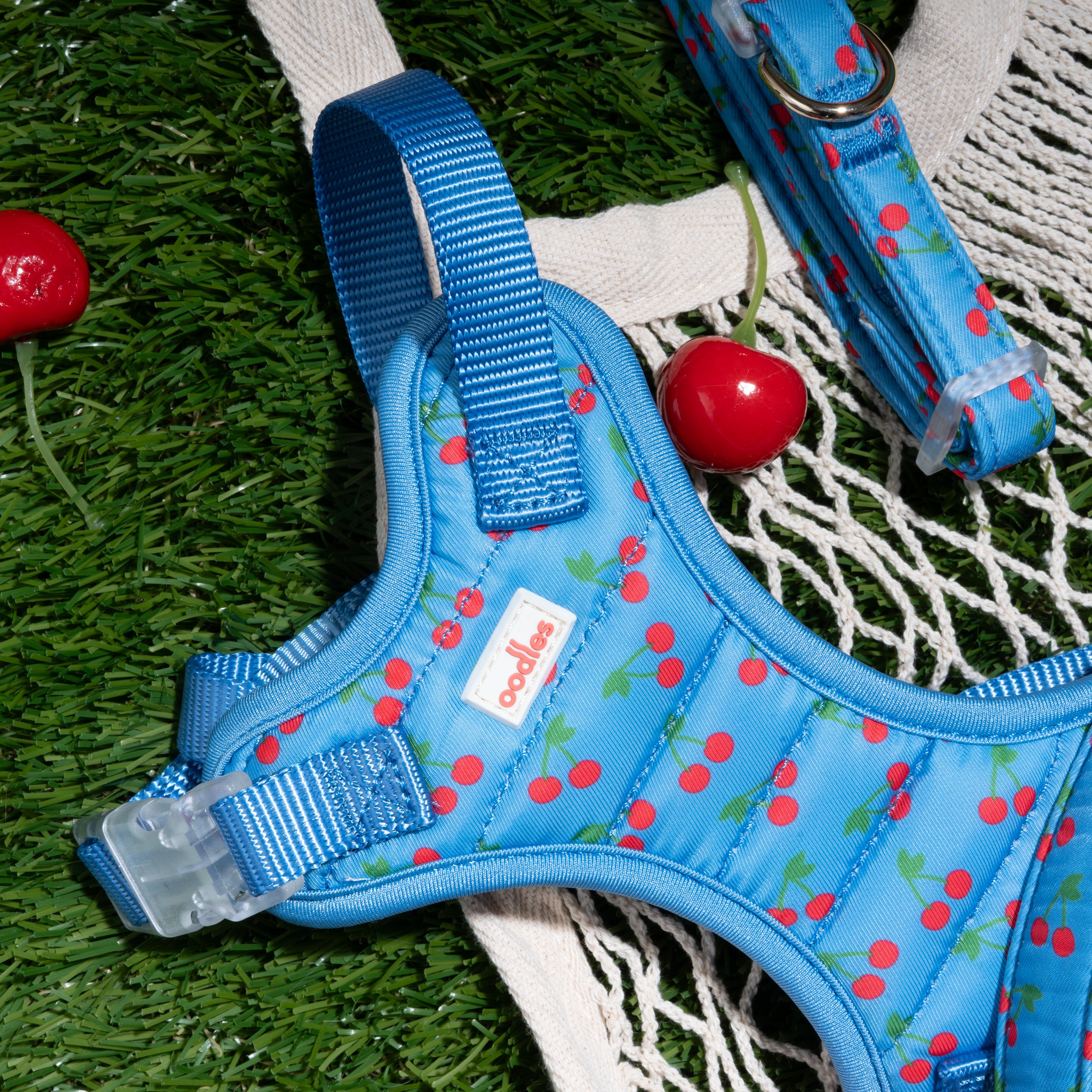 Quilted Dog Walking Harness