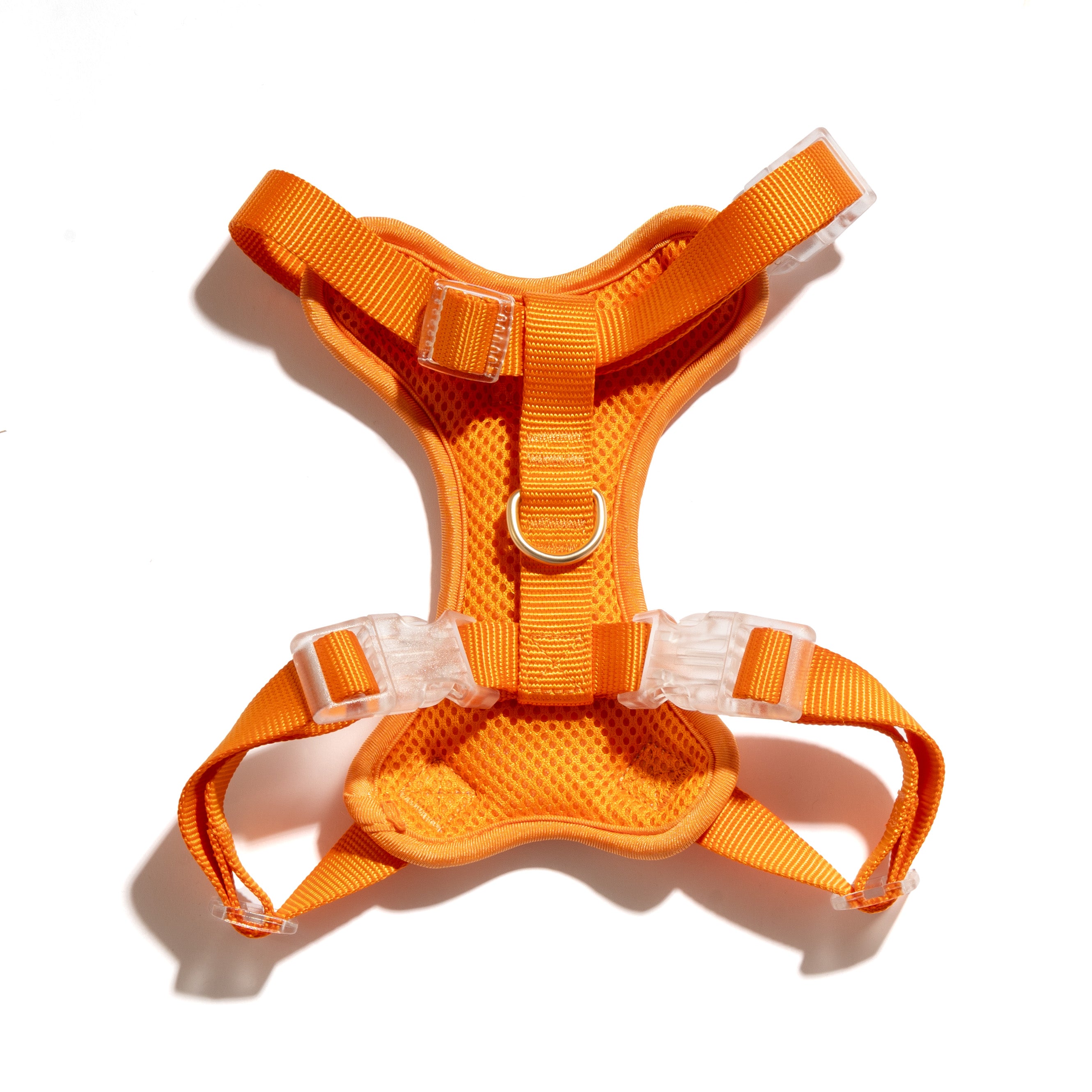 Quilted Dog Walking Harness