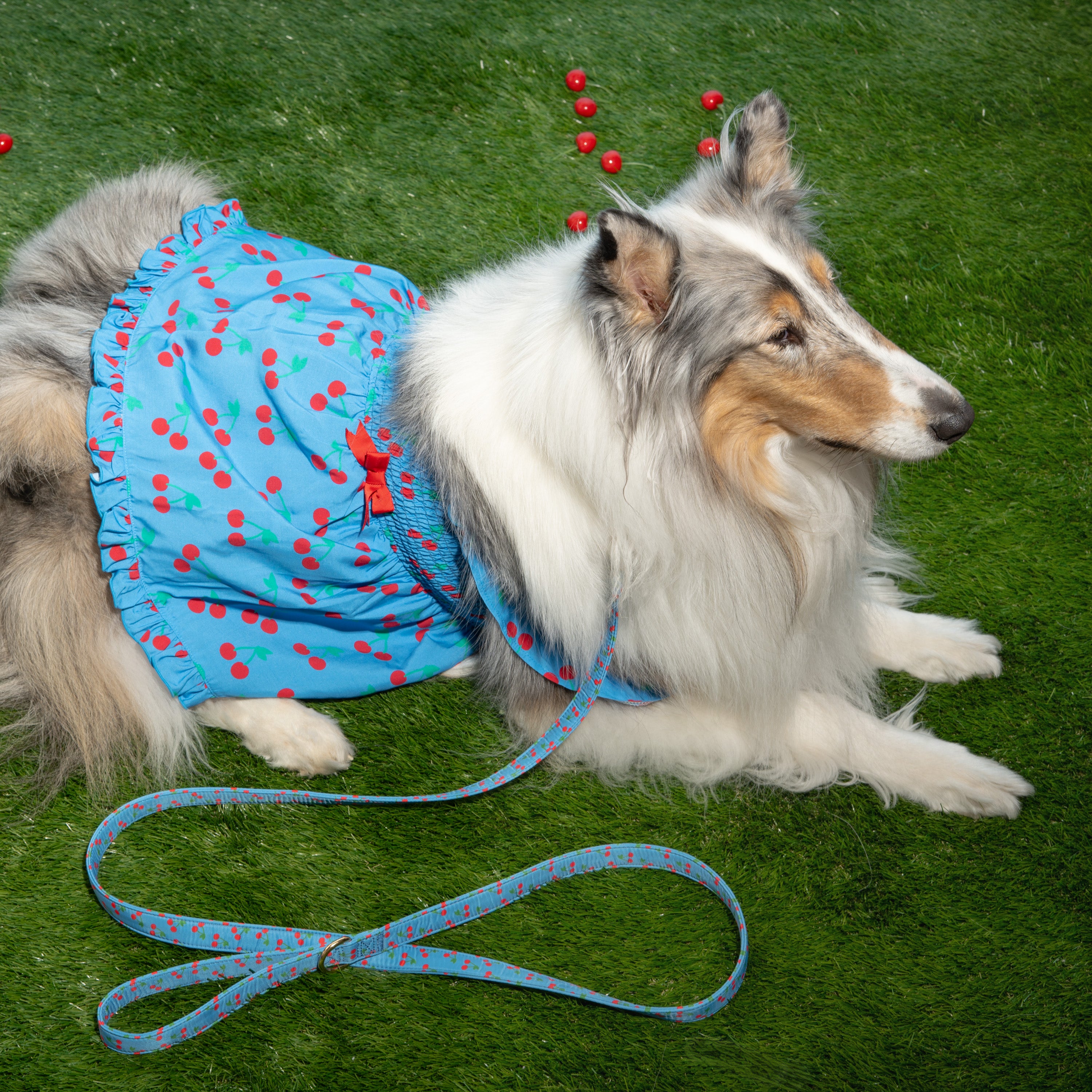 Ruffle Dog Dress