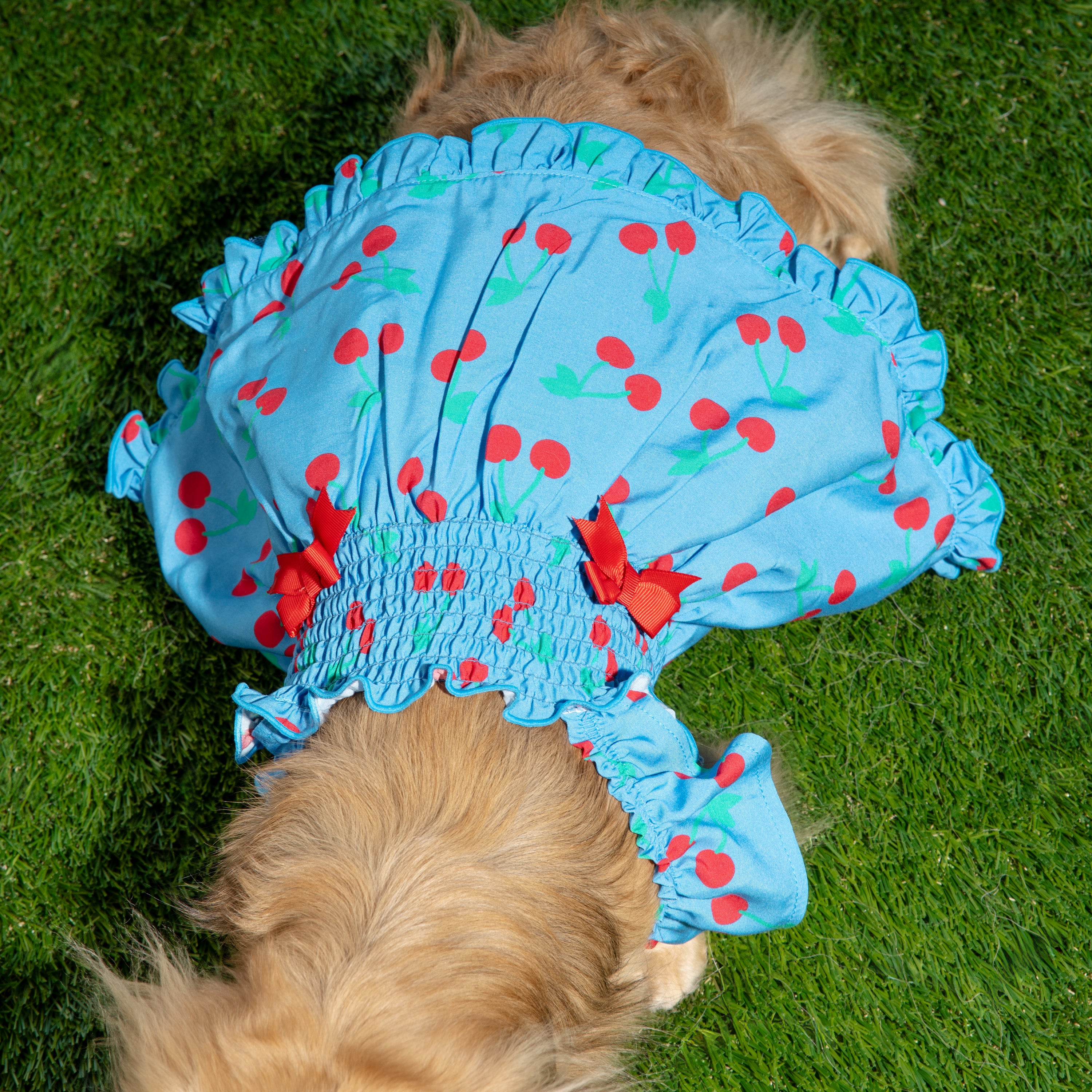 Ruffle Dog Dress