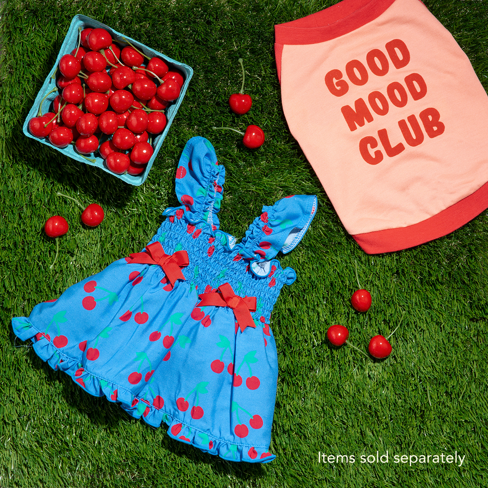 Ruffle Dog Dress