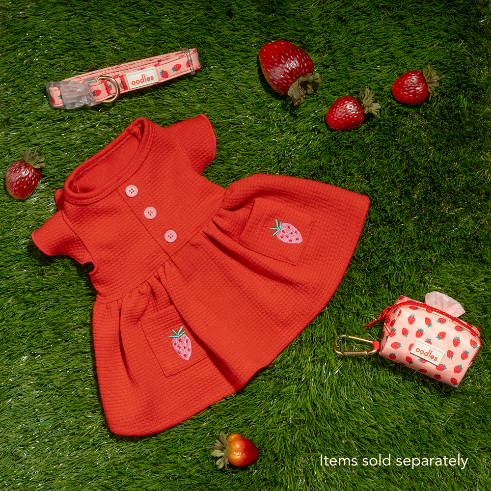 Embroidered Flutter Dog Dress