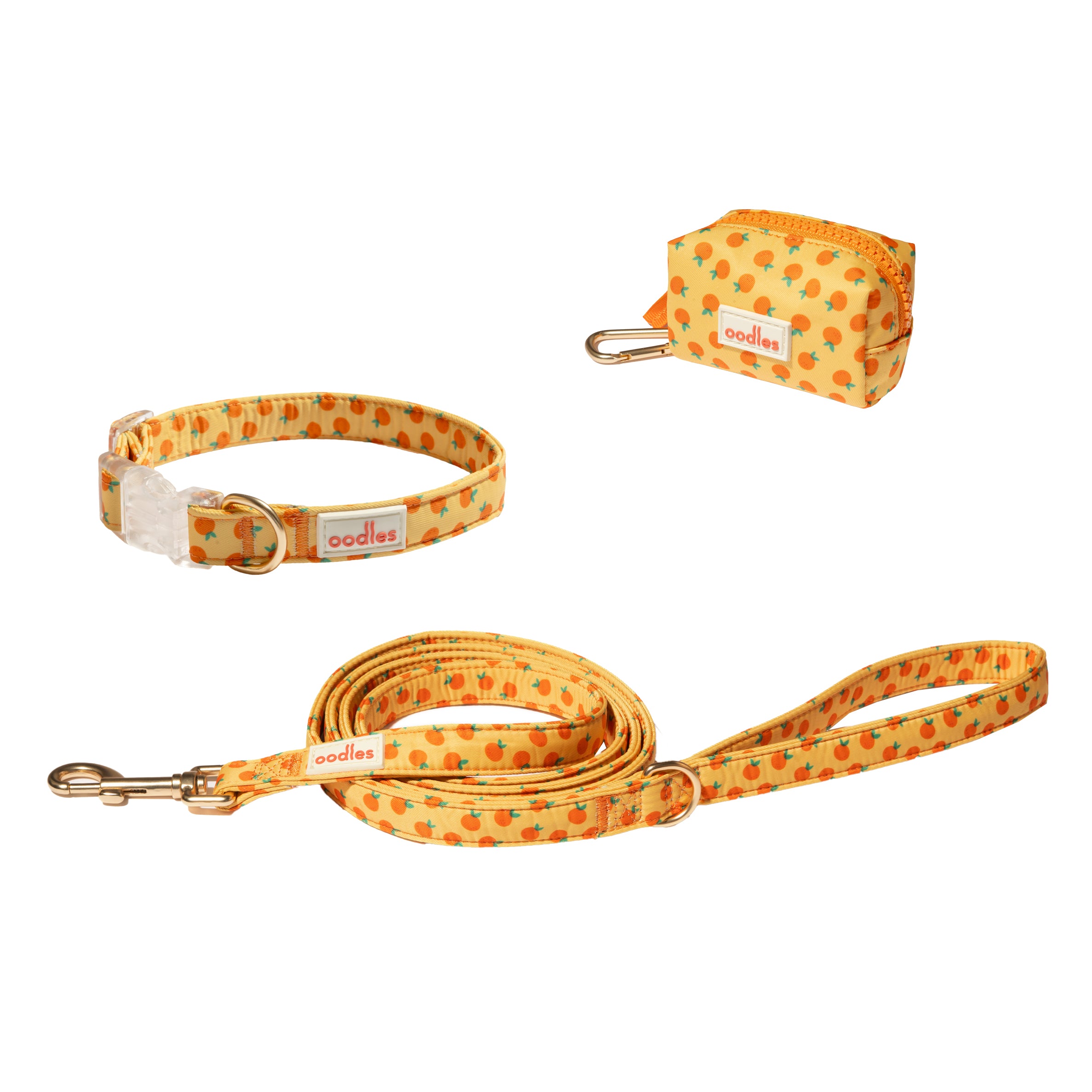3-Piece Dog Walking Set