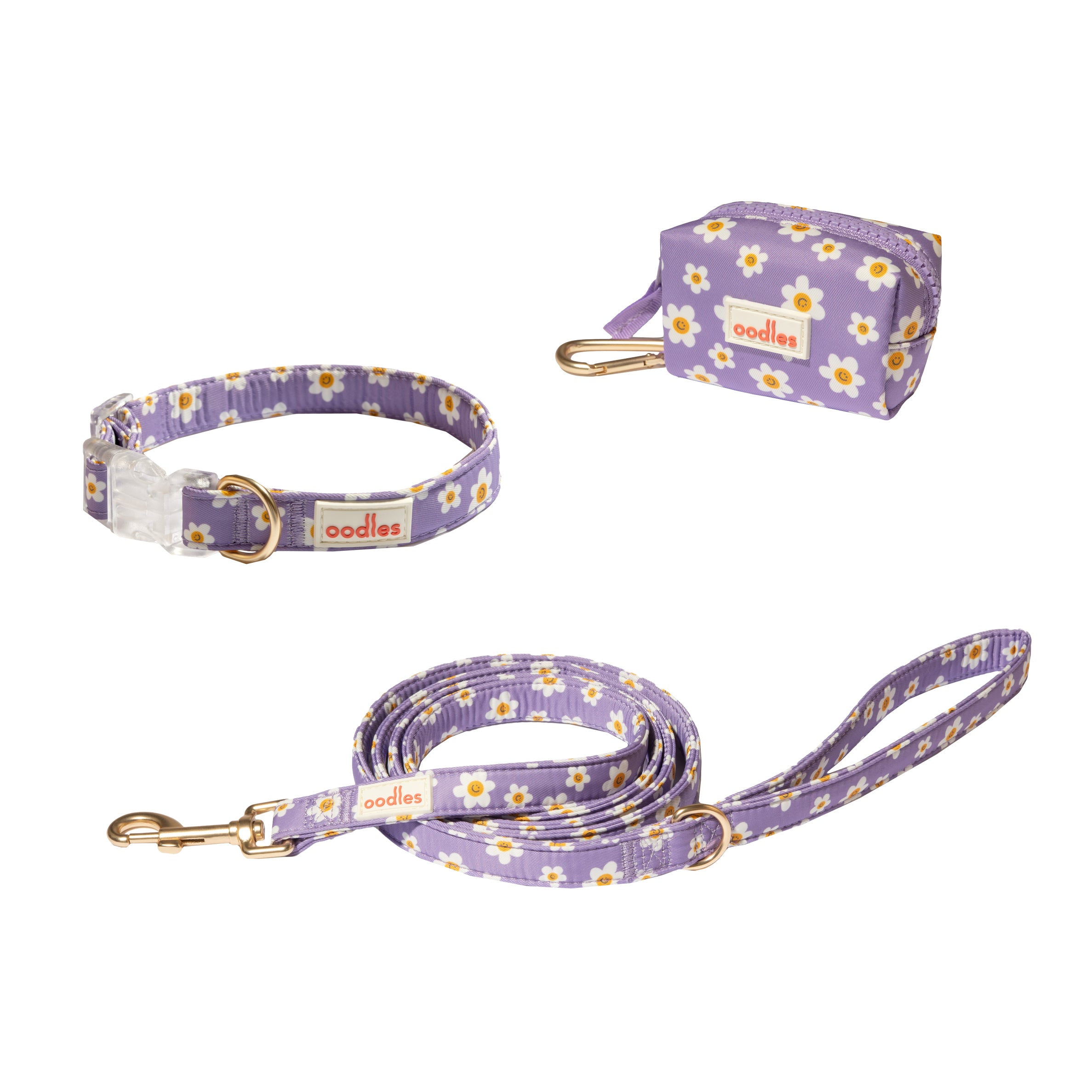 3-Piece Dog Walking Set