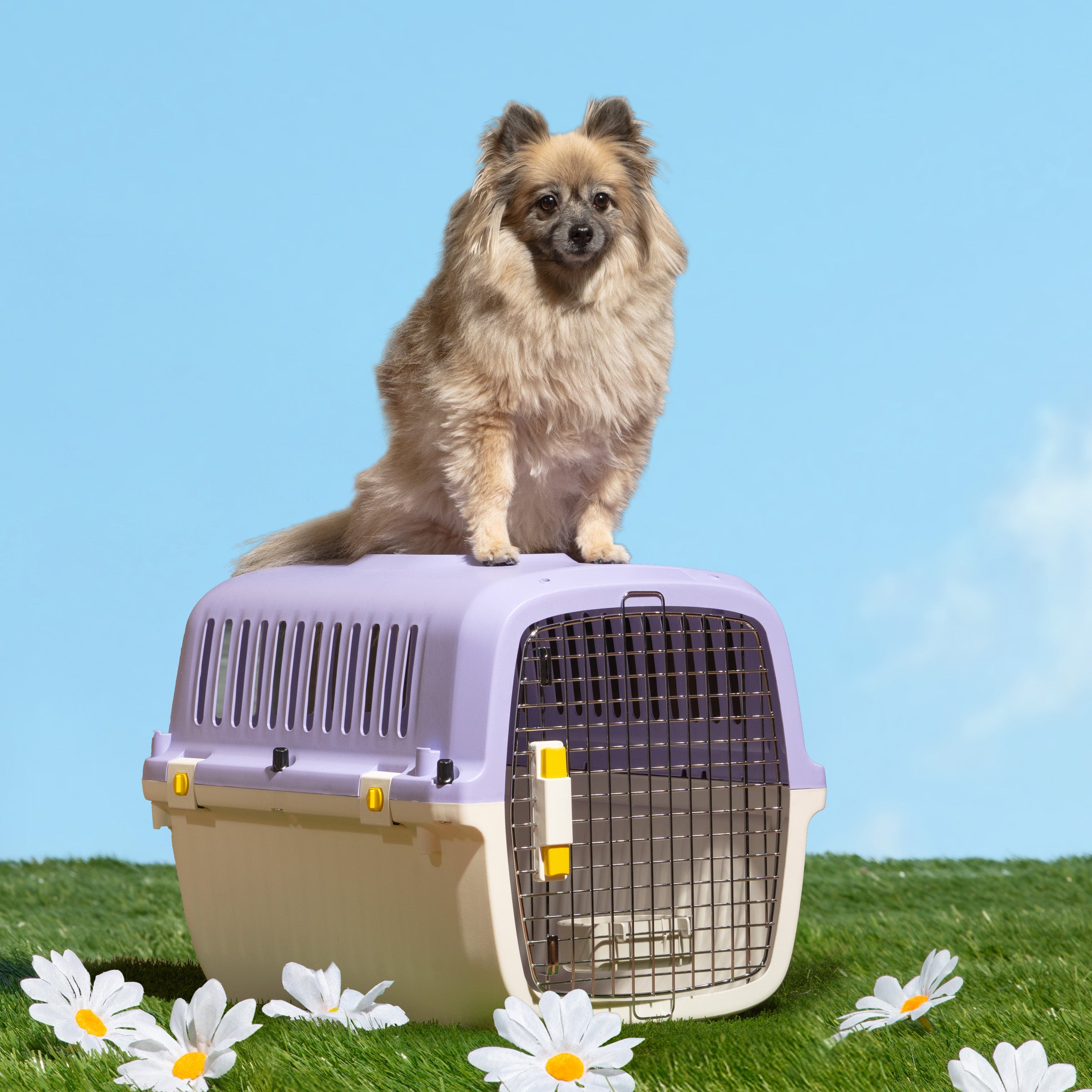 Travel Pet Kennel - Lilac