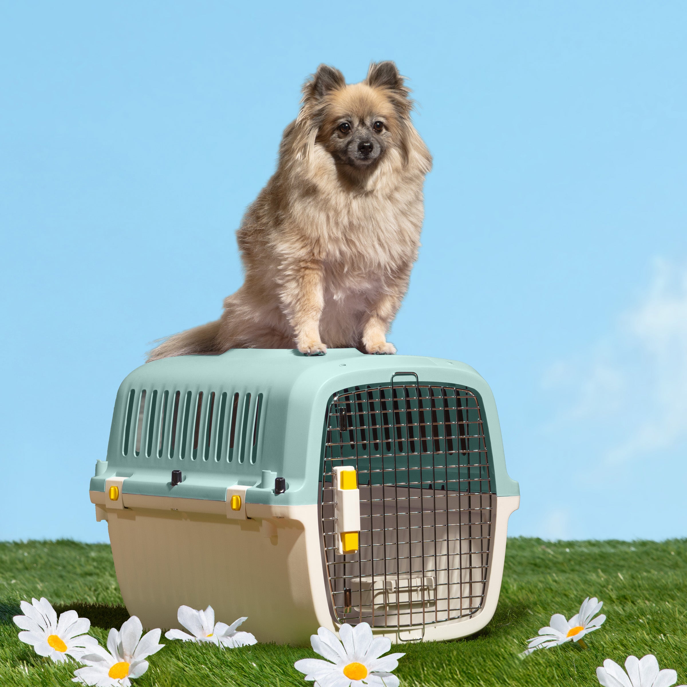 Travel Pet Kennel - Aqua