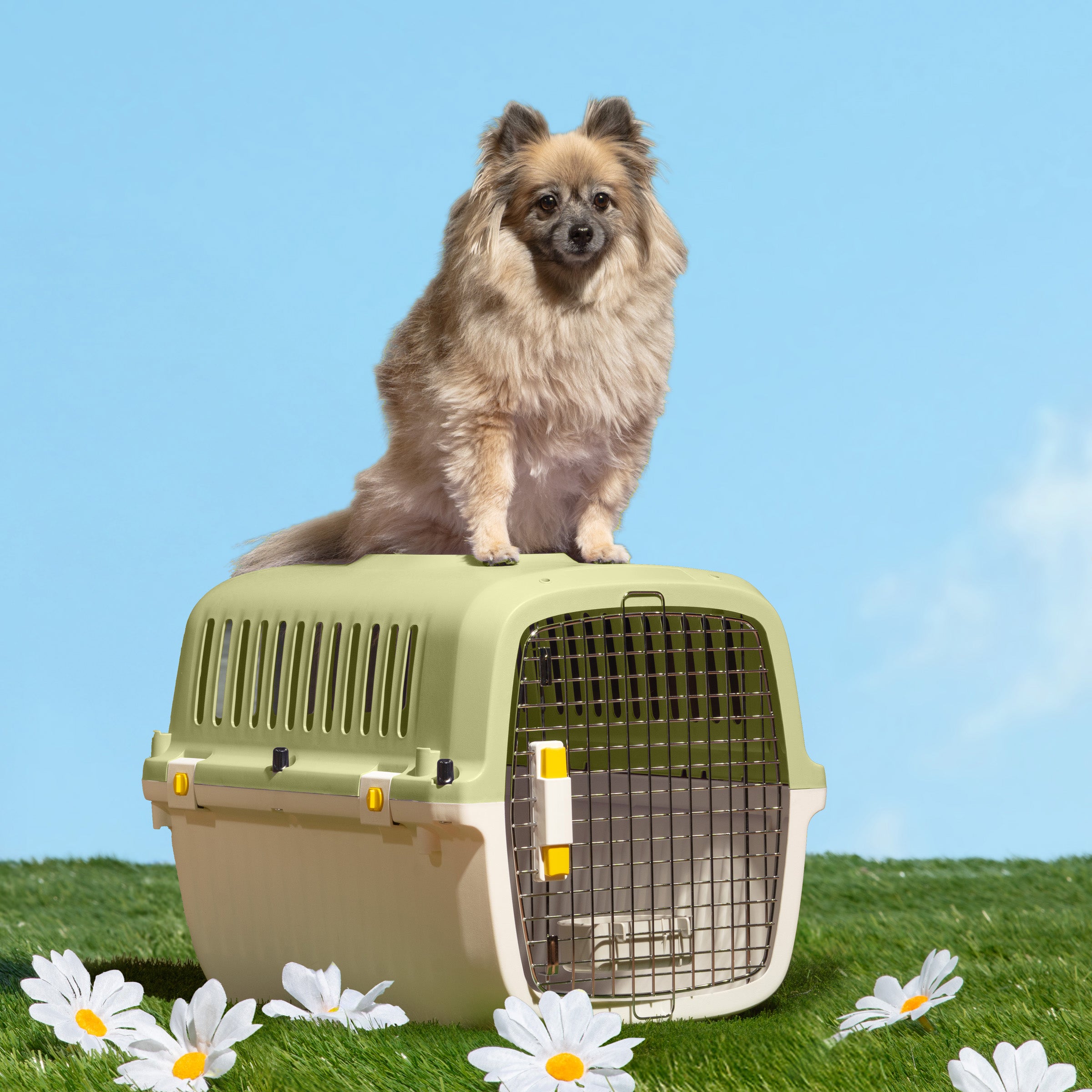 Travel Pet Kennel - Matcha
