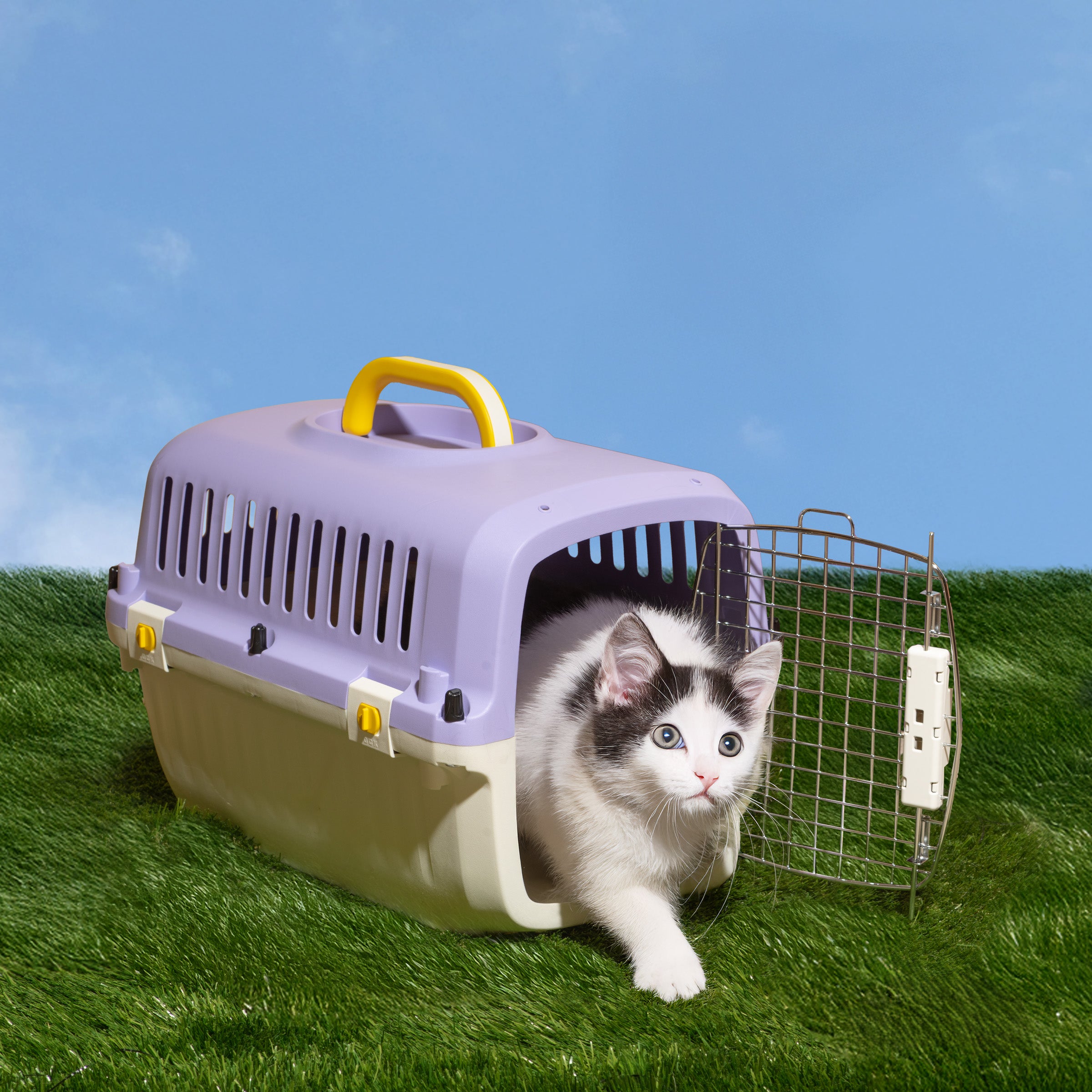 Travel Pet Kennel - Lilac