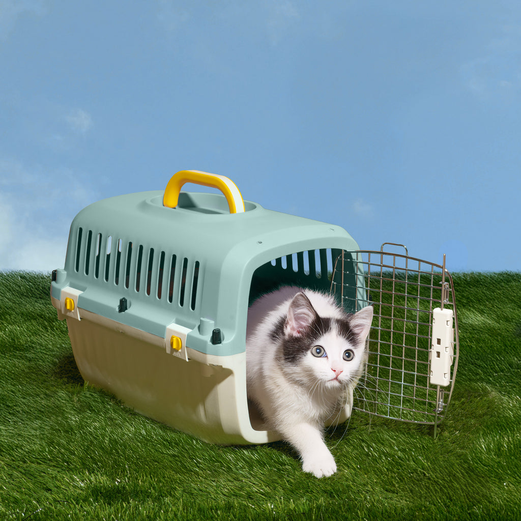 Travel Pet Kennel - Aqua