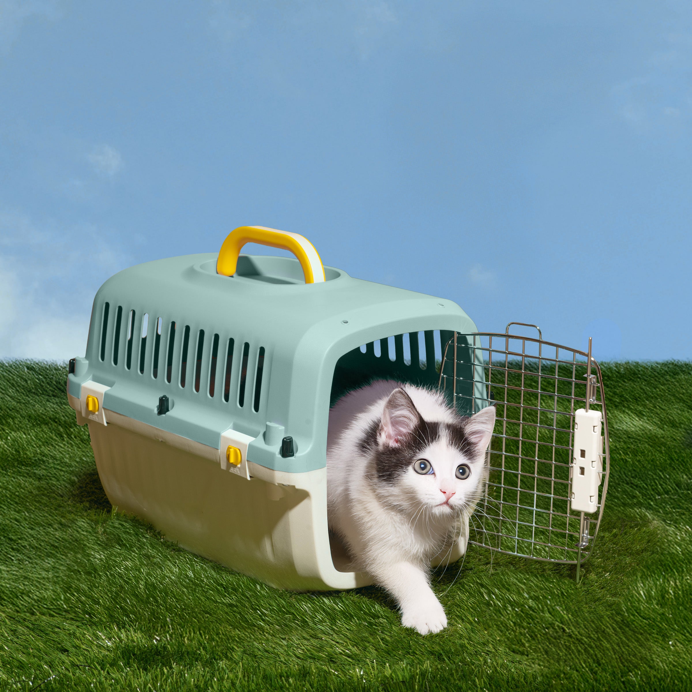 Travel Pet Kennel - Aqua