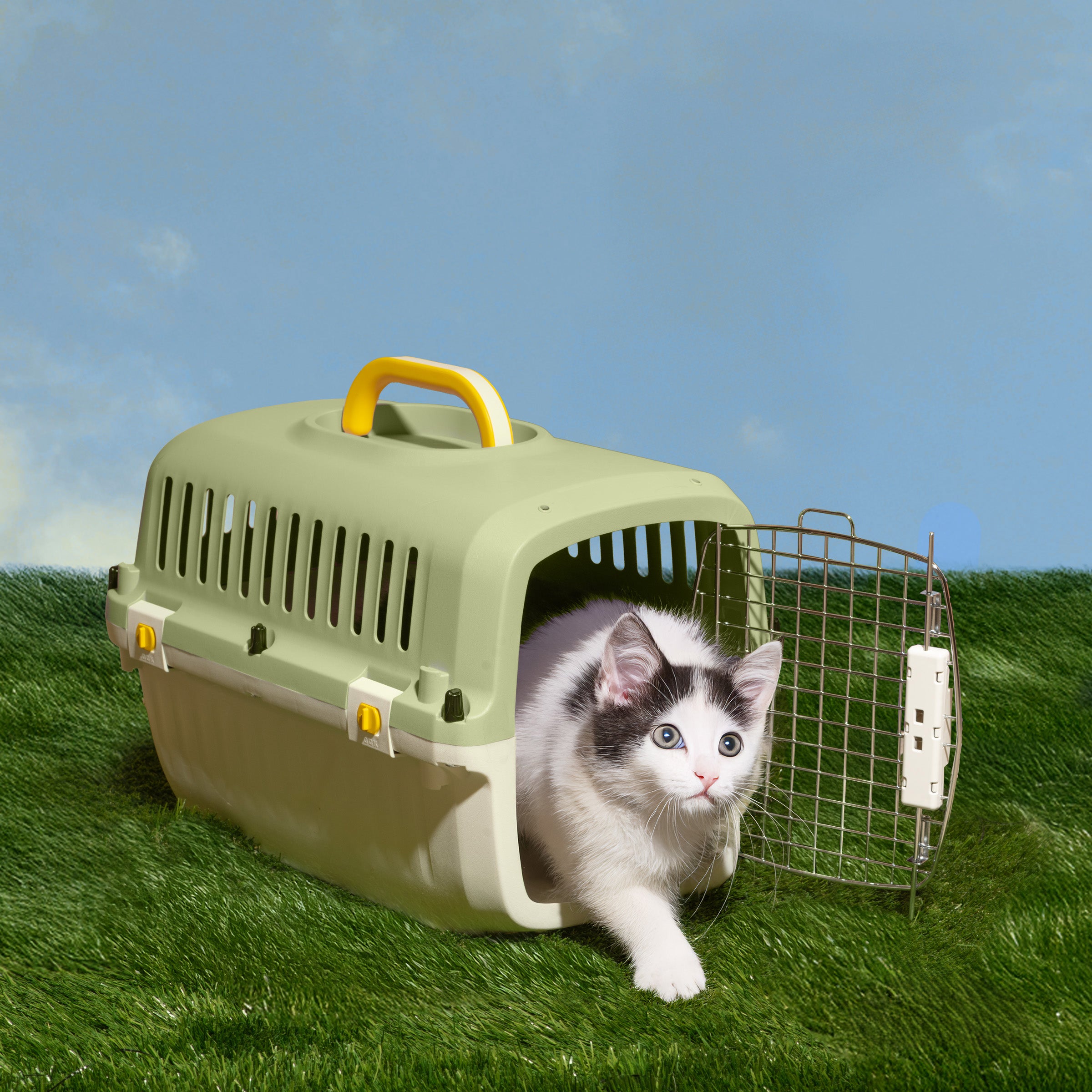 Travel Pet Kennel - Matcha