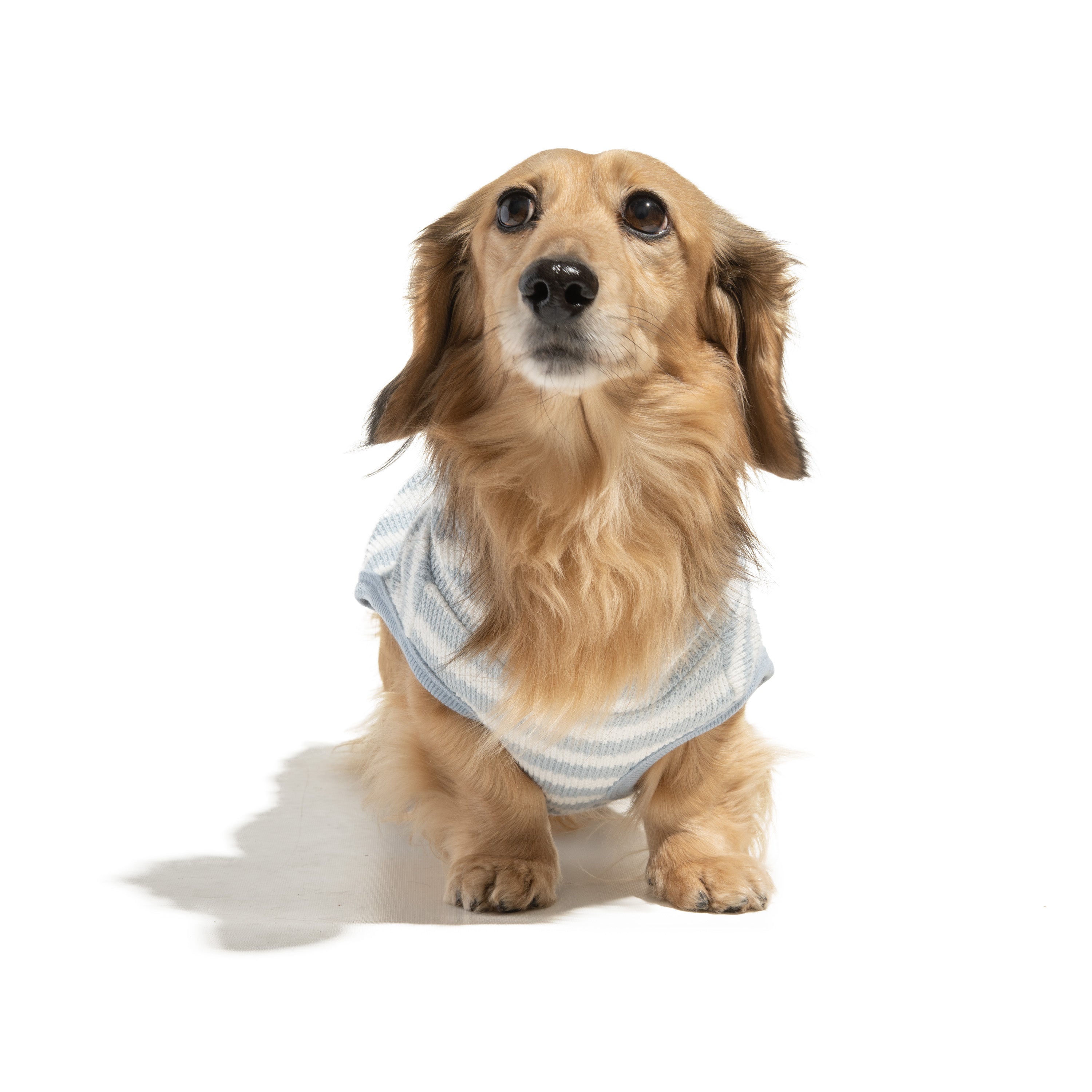 Bubble Hem Dog Hoodie