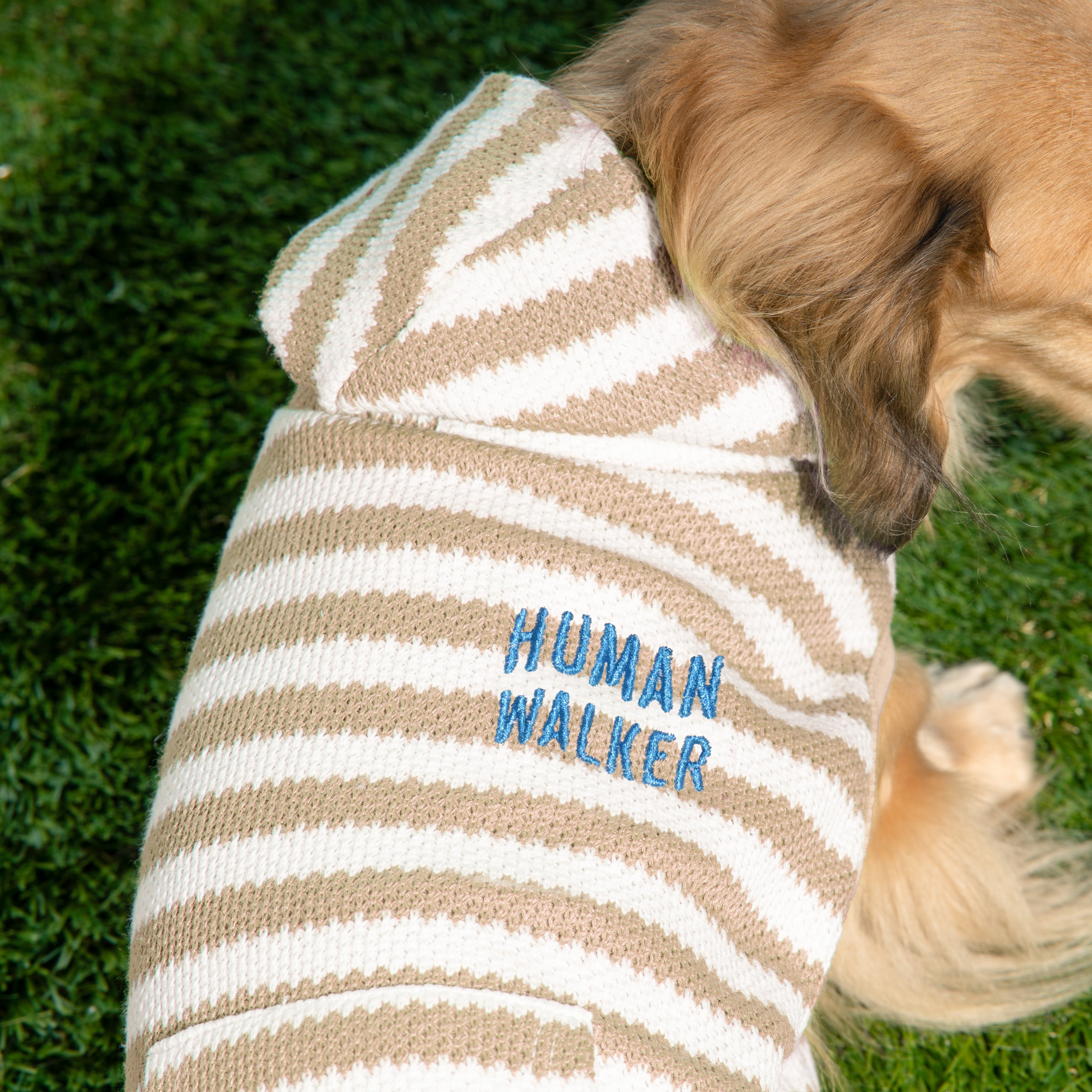 Bubble Hem Dog Hoodie