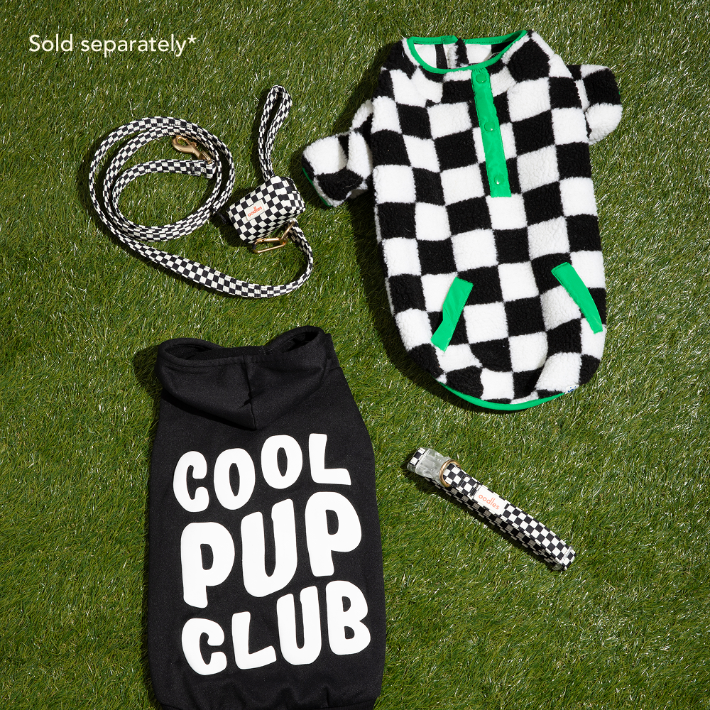 Graphic Dog Hoodie