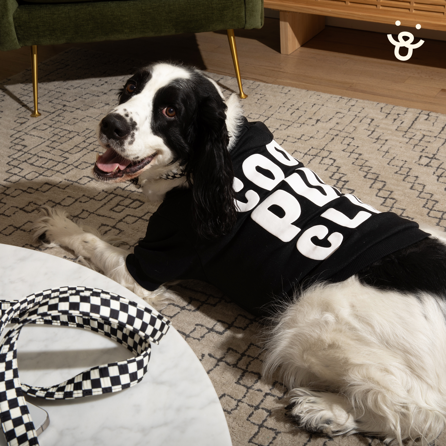 Graphic Dog Hoodie