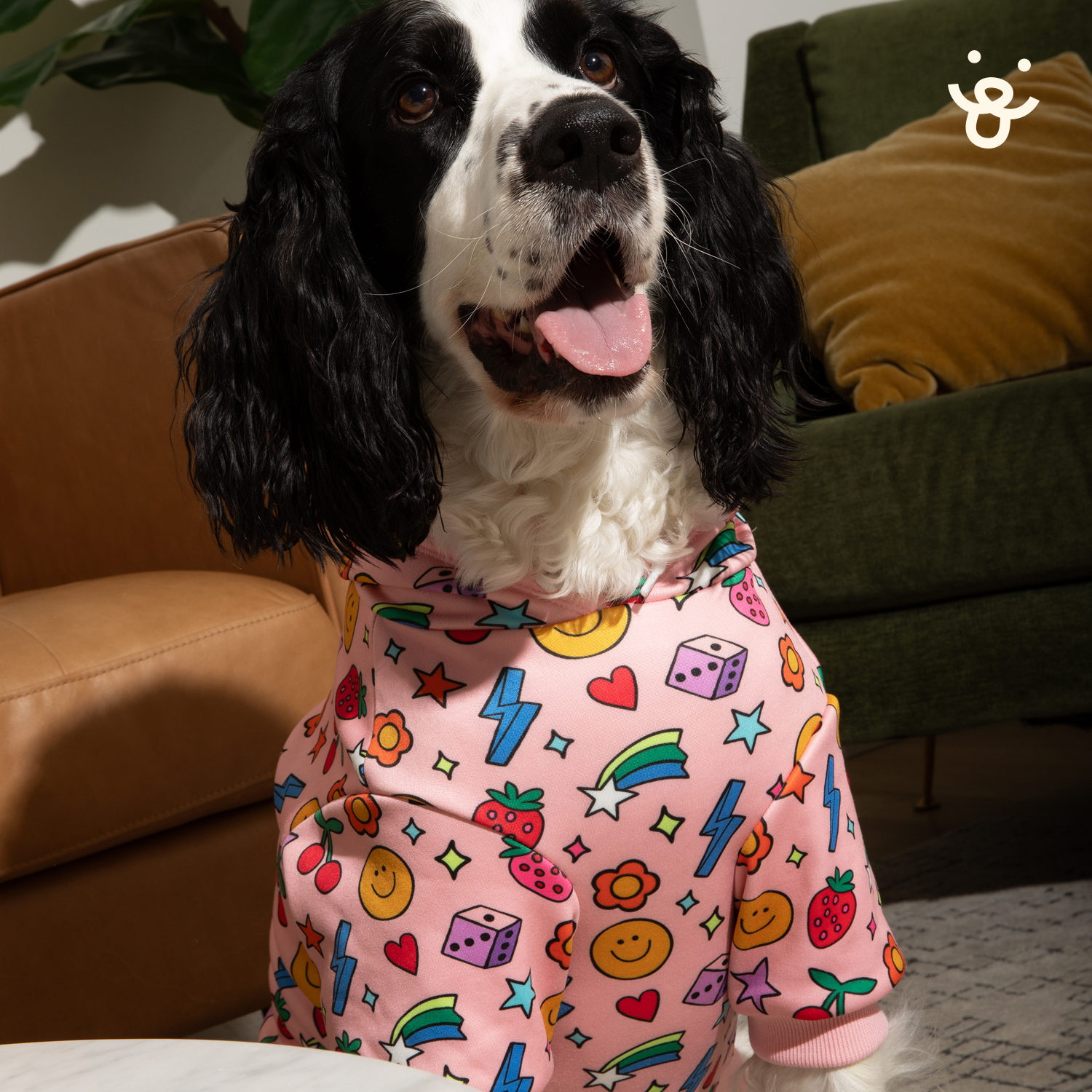 Graphic Dog Hoodie