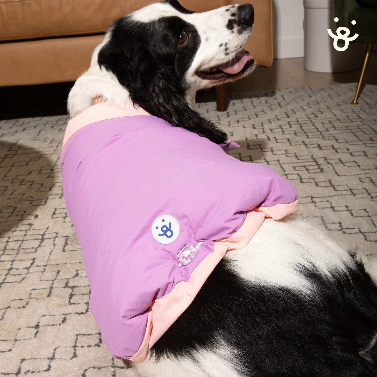 Quilted Puffer Dog Jacket