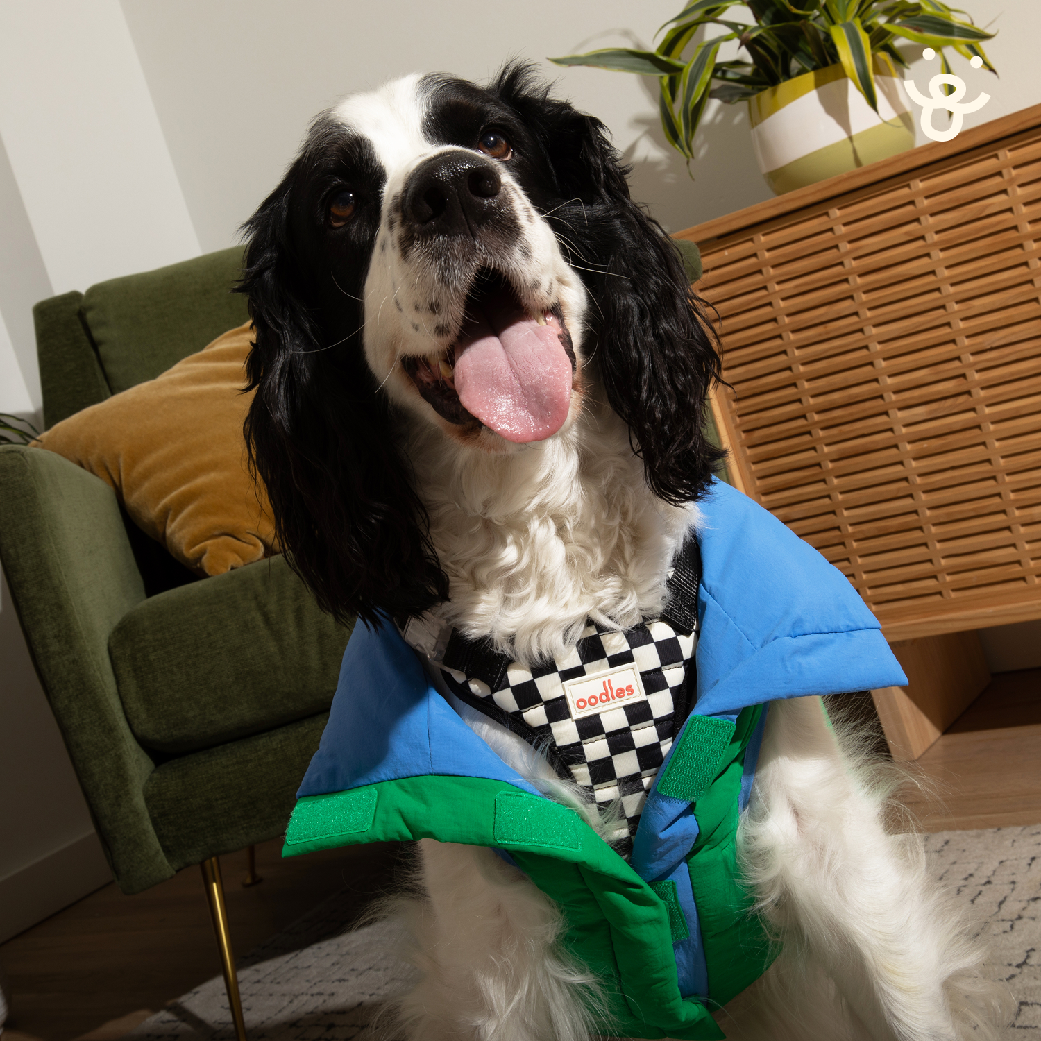 Quilted Puffer Dog Jacket