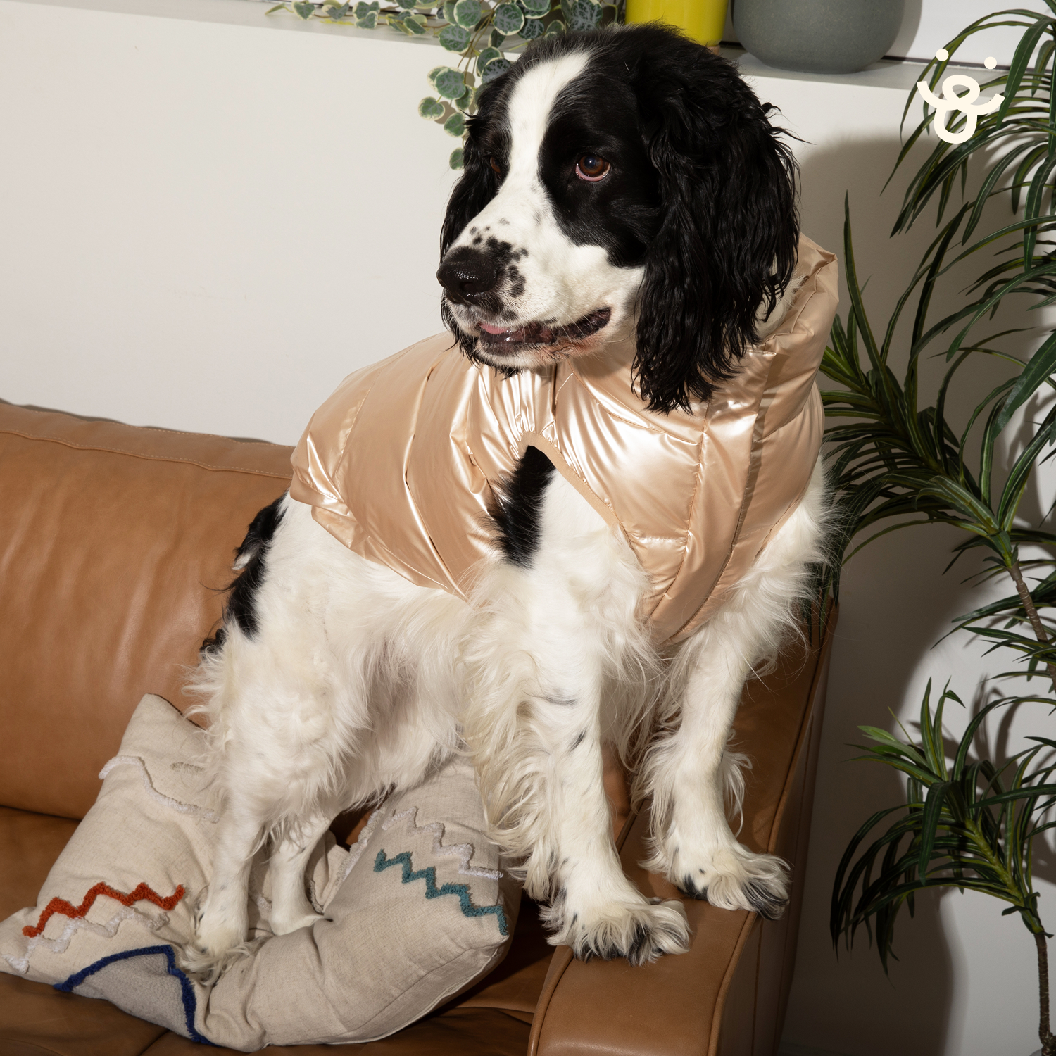 Quilted Puffer Dog Jacket