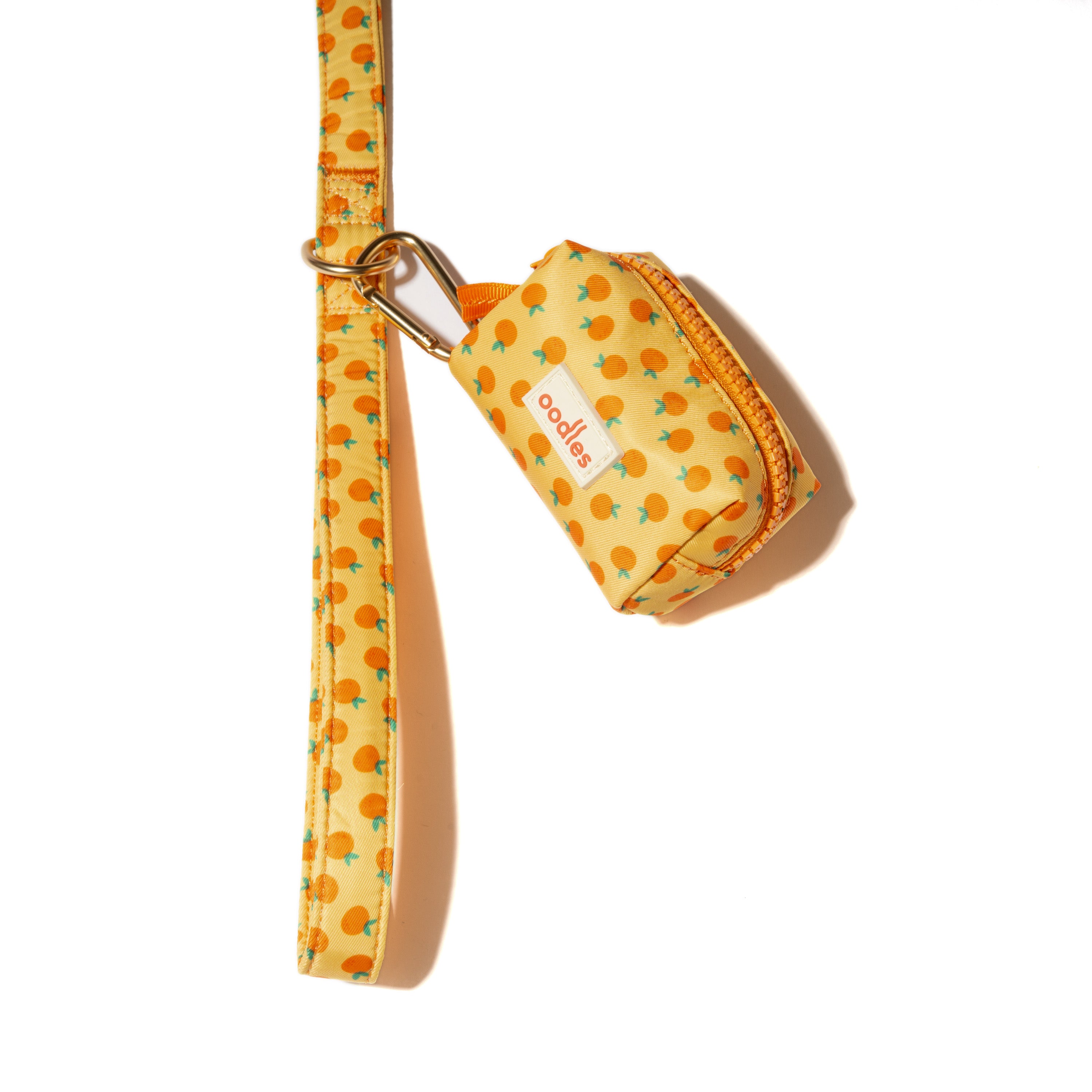 3-Piece Dog Walking Set