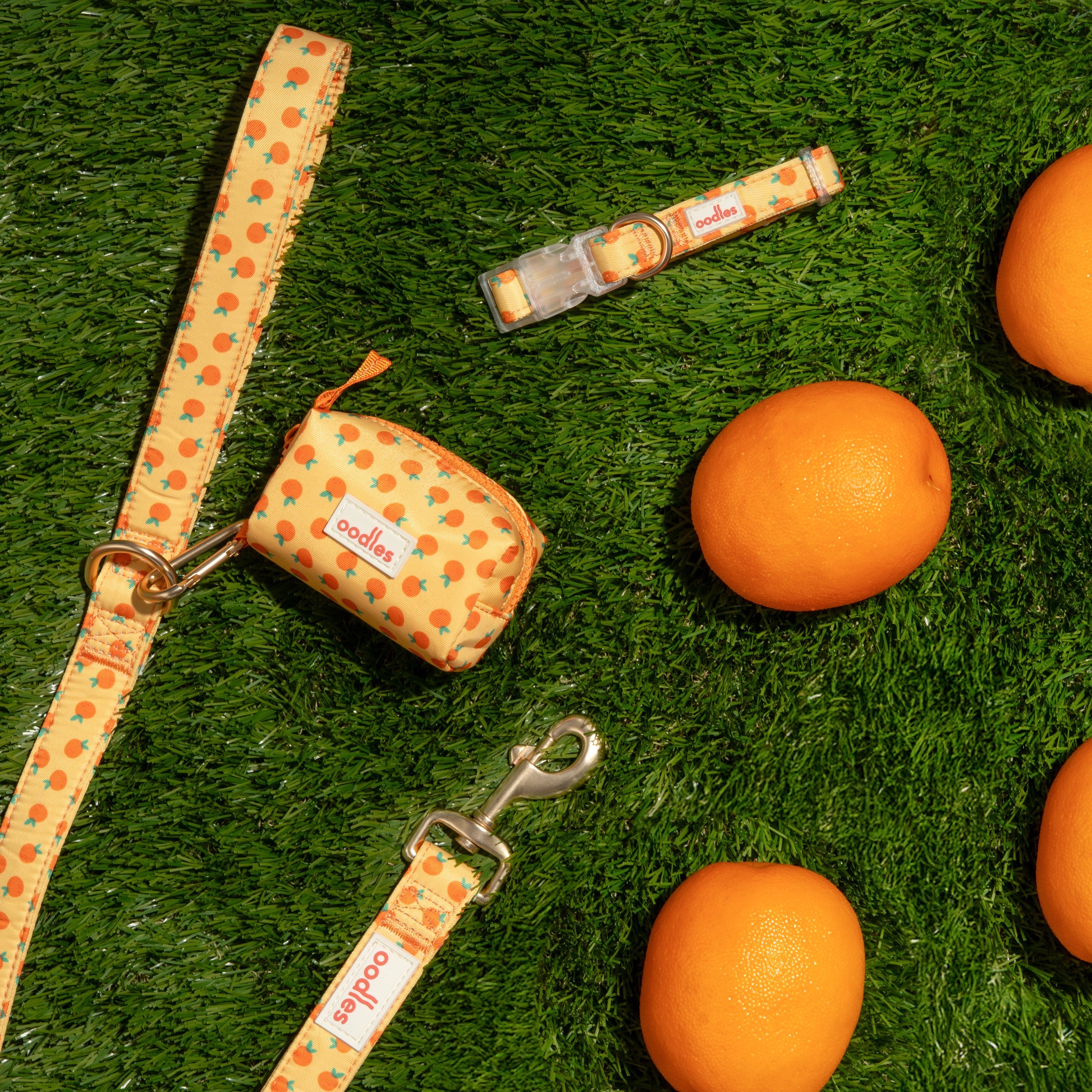 3-Piece Dog Walking Set